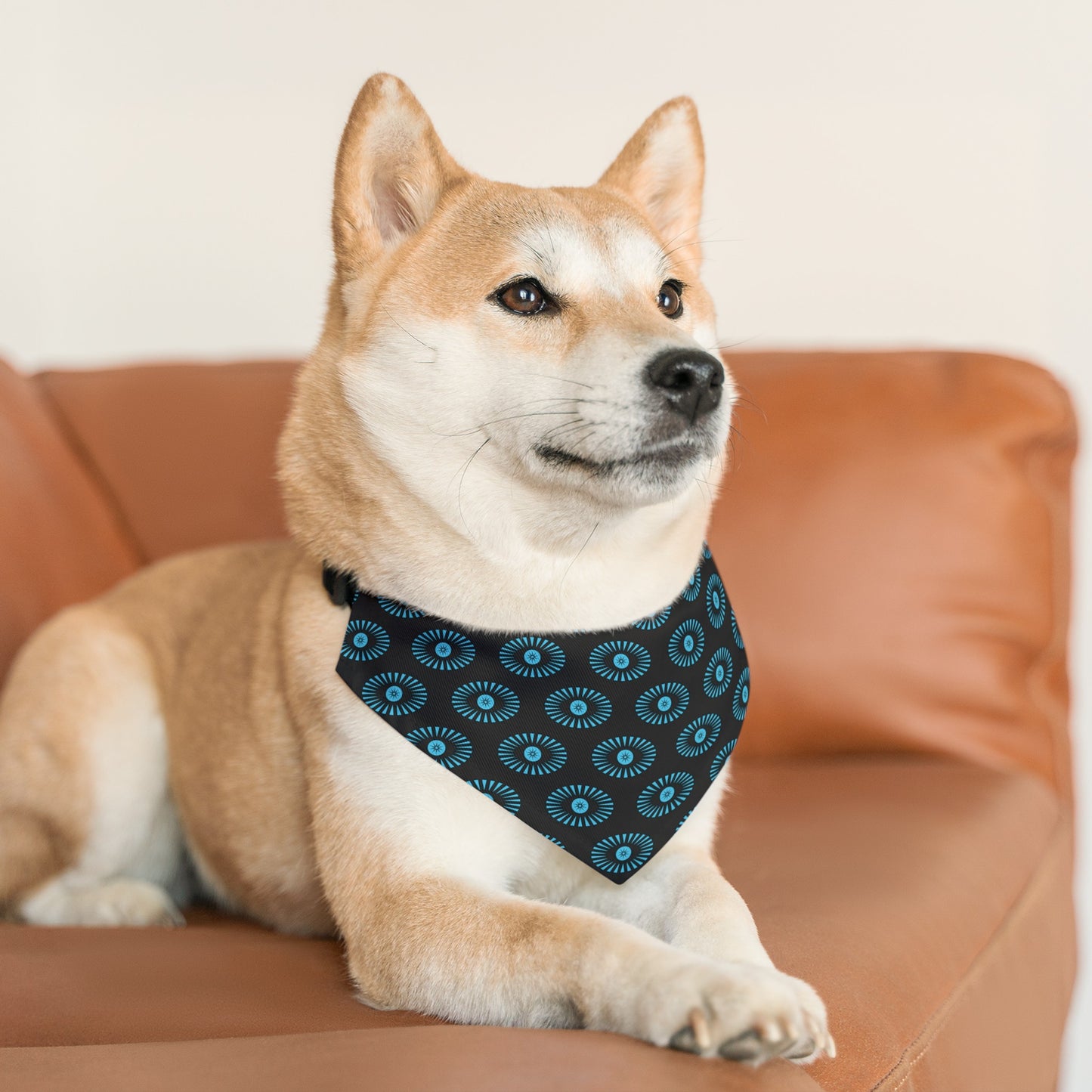 Milwaukee Film "Eye" Pet Bandana Collar