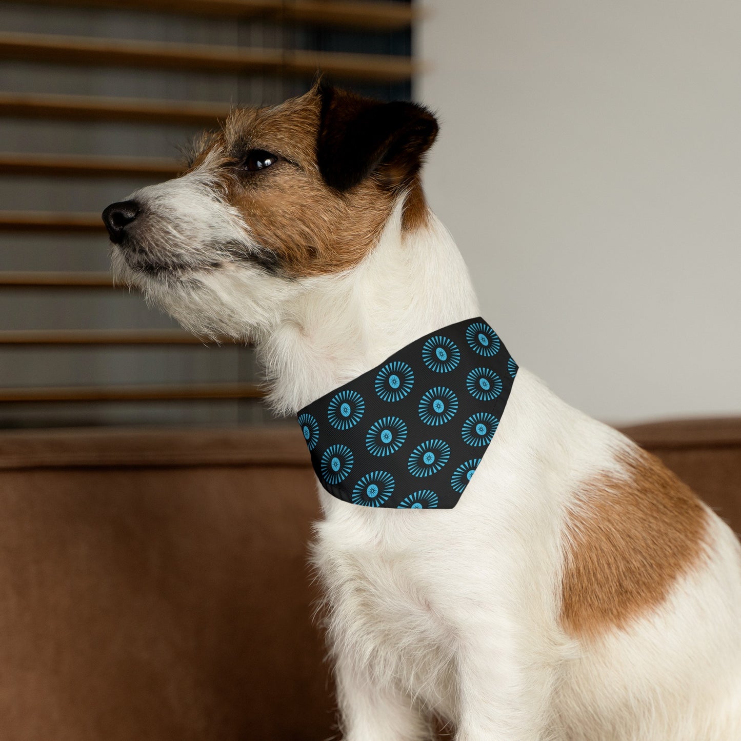 Milwaukee Film "Eye" Pet Bandana Collar